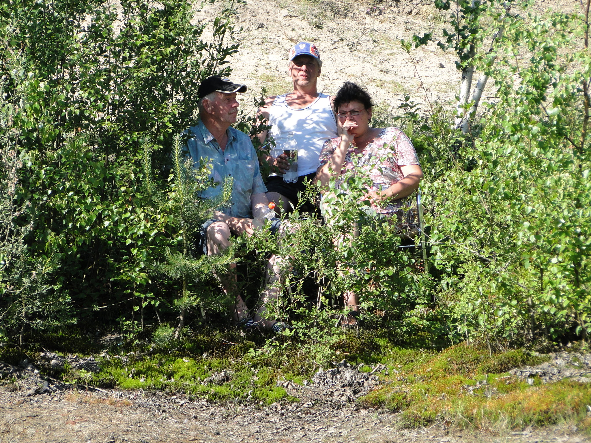 2011HWK 339.jpg